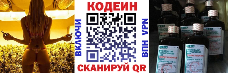 Купить закладки  Щёлкино  Codein Purple Drank 