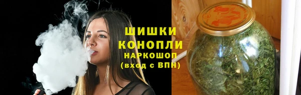 мдпв Ладушкин