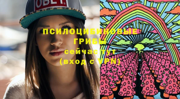 стаф Лабытнанги