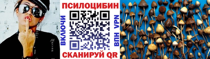 Псилоцибиновые грибы Cubensis  Купить где  Щёлкино